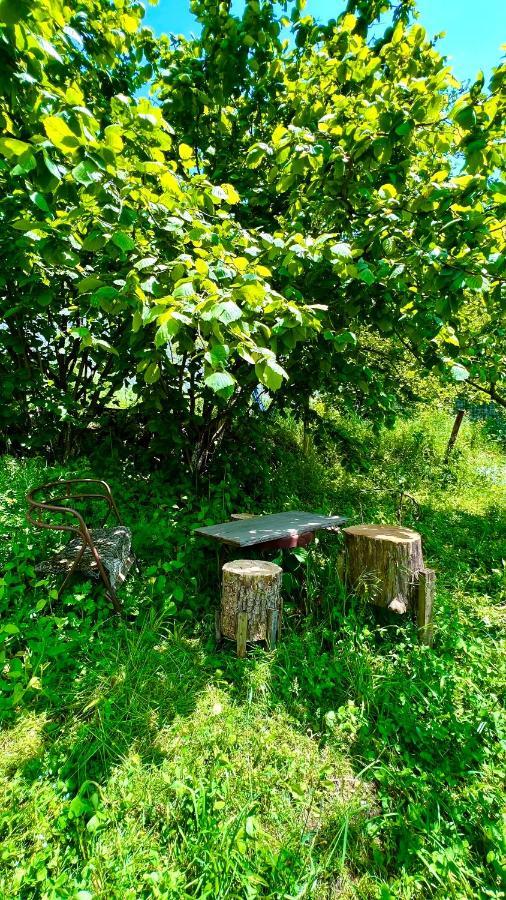 Mountain Top Getaway In Dilijan! Dış mekan fotoğraf